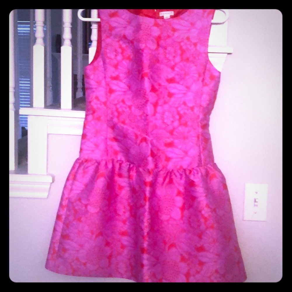 Absolutely beautiful Crewcuts Dress